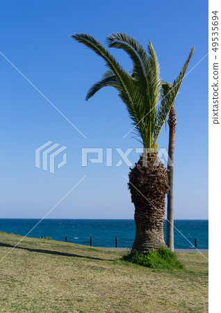 Yomune Park Yomune Park 49535694