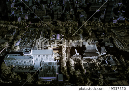 從東京鐵塔 49537850