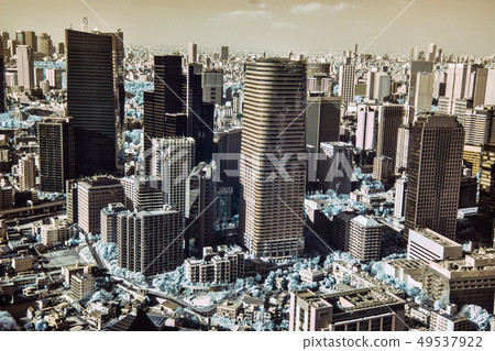 從東京鐵塔 49537922