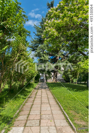 lane of stone slabs under the pines with a beautif lane of stone slabs under the pines with a beautif 49538064
