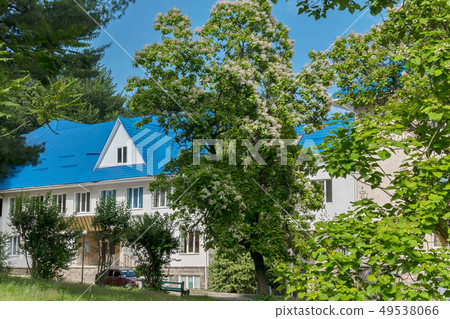 house in two floors with white walls against a bea house in two floors with white walls against a bea 49538066