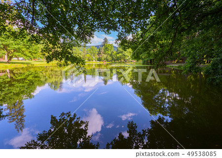 A beautiful lake reflects the image of trees in a 49538085