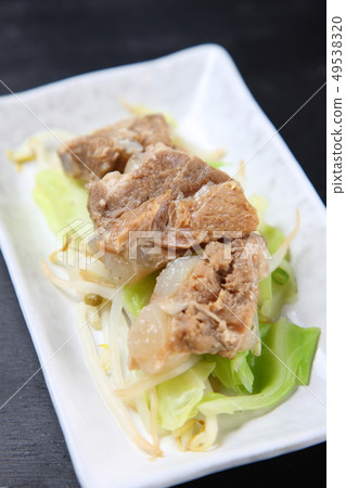 Torotro豬肉碗 49538320