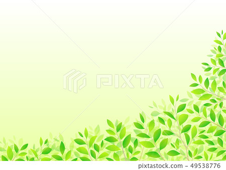 背景材料_木葉若葉青葉鮮綠 49538776