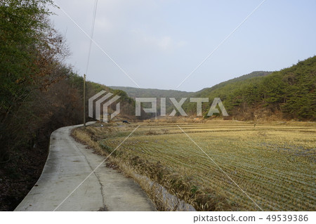 鄉村小路 鄉村小路 49539386