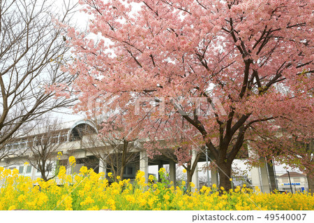 Nanoha Field 14 Nanoha Field 14 49540007