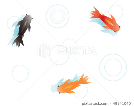 金魚5 金魚5 49541040