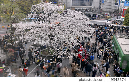 日本的東京都市風景在澀谷站前分發的異常狂歡的戰鬥。閱讀報紙的年輕人= 4月1日下午 49542874