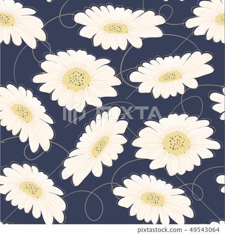 pattern seamless hand drawn white daisy flower-插圖素材 [49543064] - PIXTA圖庫