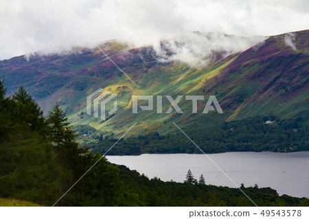 Forest and Lake Derwent Water in Keswick, Lake 49543578