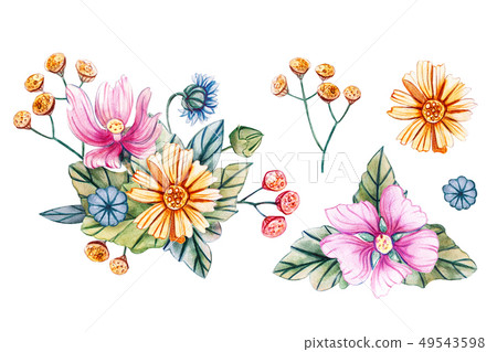 Watercolor illustration. Wild flowers in bouquets. 49543598