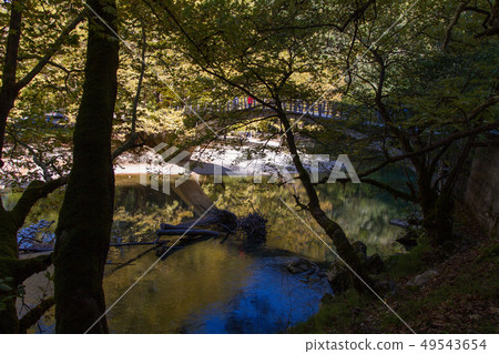 Voidomatis river at Papigo bridge 49543654