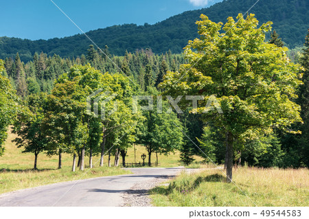 road though countryside in mountains road though countryside in mountains 49544583