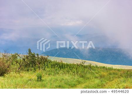alpine meadow on a cloudy day alpine meadow on a cloudy day 49544620