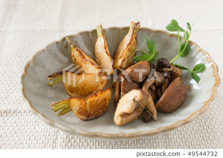 Saute of the cover 49544732