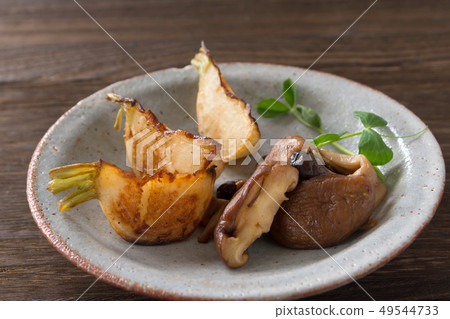 Saute of the cover 49544733