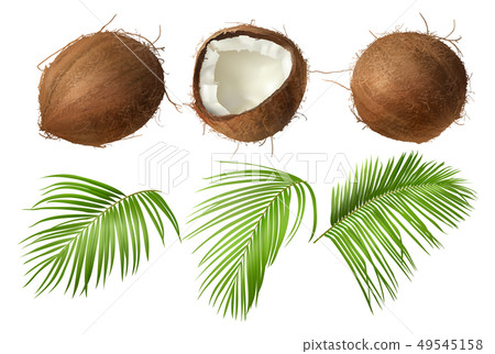 Whole and broken coco nut with green palm leaves Whole and broken coco nut with green palm leaves 49545158