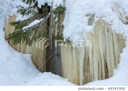 Icicles hanging over rock in the forest Icicles hanging over rock in the forest 49545368