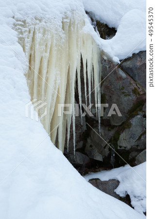 Icicles hanging over rock in the forest 49545370
