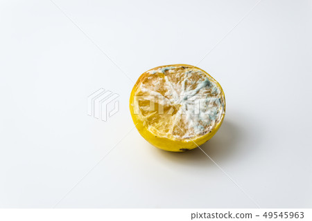 Trendy ugly organic lemons on white background  49545963
