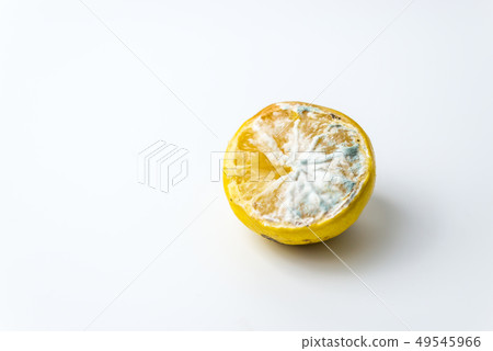 Trendy ugly organic lemons on white background  49545966