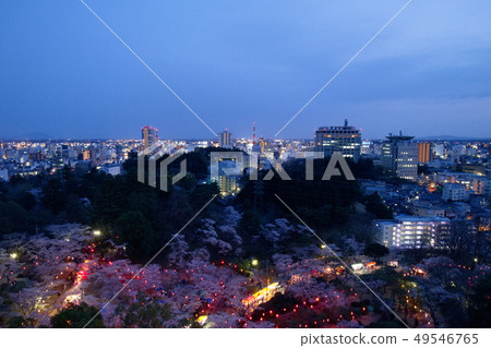 Hachimanzan Park and the cityscape seen from Utsunomiya City Utsunomiya Tower 49546765