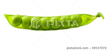 green peas and pod on white background 49547078
