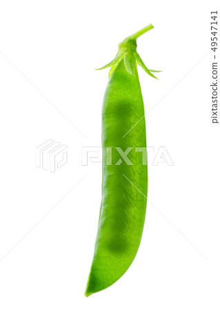 green peas and pod on white background 49547141