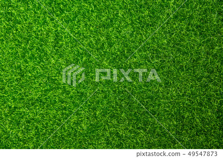 Green grass texture background. Top view with copy 49547873