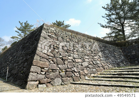 Iga Ueno Castle and cherry blossoms in full bloom (Mie Prefecture) Iga Ueno Castle and cherry blossoms in full bloom (Mie Prefecture) 49549571