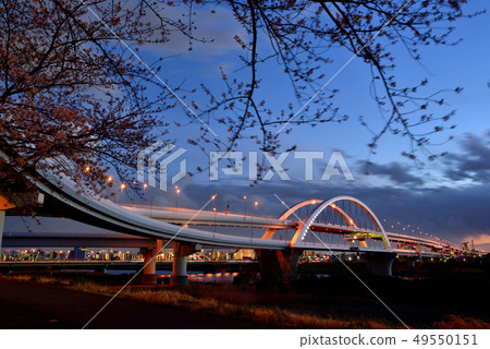 Arakawa Sakura，五色櫻花Ohashi和Ekita交界處的夜景 49550151