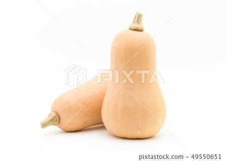 胡桃南瓜胡桃南瓜胡桃南瓜花生南瓜 胡桃南瓜胡桃南瓜胡桃南瓜花生南瓜 49550651
