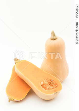 胡桃南瓜胡桃南瓜胡桃南瓜花生南瓜 49550672
