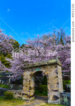佐賀縣武雄市恩努寺的櫻花盛開 佐賀縣武雄市恩努寺的櫻花盛開 49551191