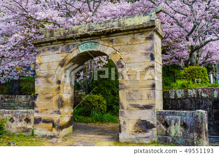 佐賀縣武雄市恩努寺的櫻花盛開 49551193