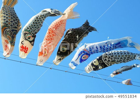 鯉魚旗春天櫪木 49551834