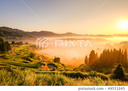 Terraced rice terrace (morning view) Terraced rice terrace (morning view) 49551845