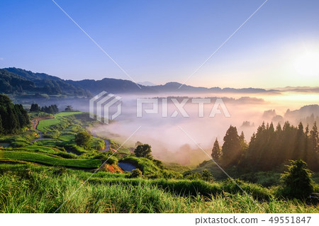 Terraced rice terrace (morning view) Terraced rice terrace (morning view) 49551847
