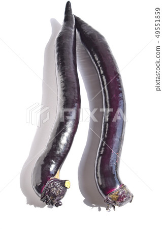 金大中茄子 49551859