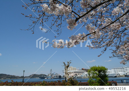 Yokosuka Velney Park Yokosuka Velney Park 49552216