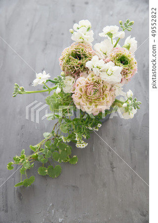 Ranunculus Ranunculus 49552822