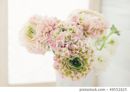 Ranunculus 49552825