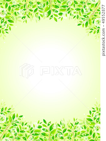 背景材料_木葉若葉青葉鮮綠 49552877