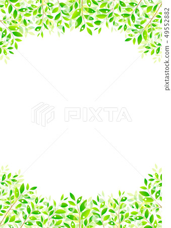 背景材料_木葉若葉青葉鮮綠 49552882