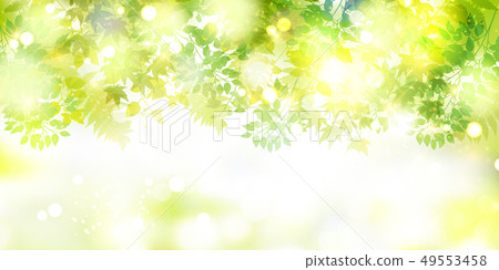 Fresh green light green background - Stock Illustration [49553458] - PIXTA