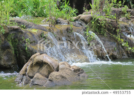 nature view of at tsing yi park hong kong nature view of at tsing yi park hong kong 49553755