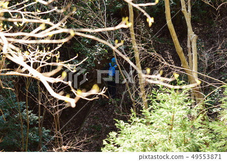分裂山脈和爬山的人 分裂山脈和爬山的人 49553871