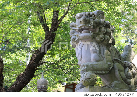 Guardian dog 49554277