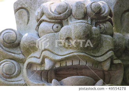 Guardian dog 49554278