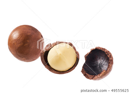 Macadamia nut on white background Macadamia nut on white background 49555625